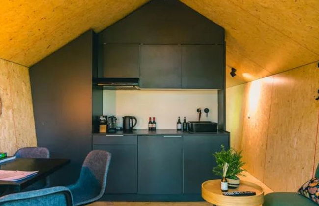 Casa de 3 quartos em Ruinen com piscina e terraço - Foto 5
