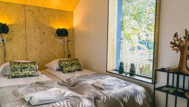 Casa de 3 quartos em Ruinen com piscina e terraço - Foto 4