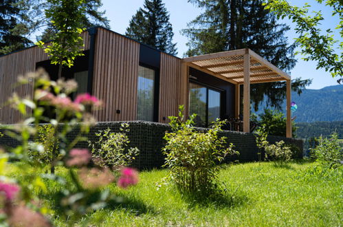 Photo 15 - Maison de 2 chambres à Hermagor-Pressegger See avec piscine et vues sur la montagne