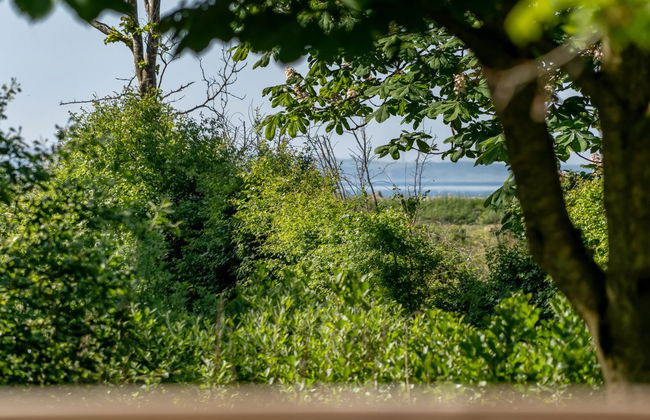 "Aike" - 100m to the inlet - Foto 24