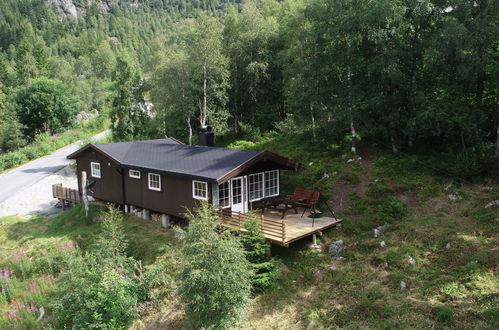 Photo 1 - Maison de 4 chambres à Åseral avec jardin et terrasse