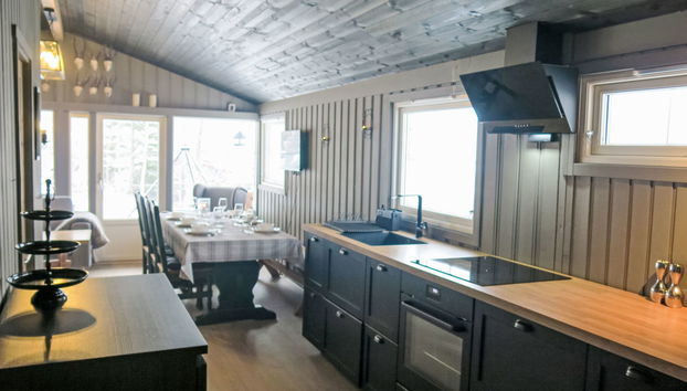Haus mit 5 Schlafzimmern in Åseral mit garten und terrasse - Foto 4