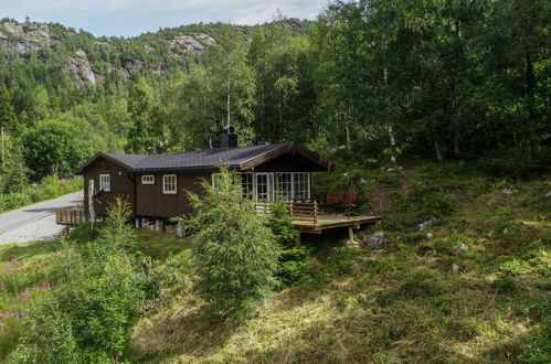 Foto 6 - Haus mit 4 Schlafzimmern in Åseral mit garten und terrasse