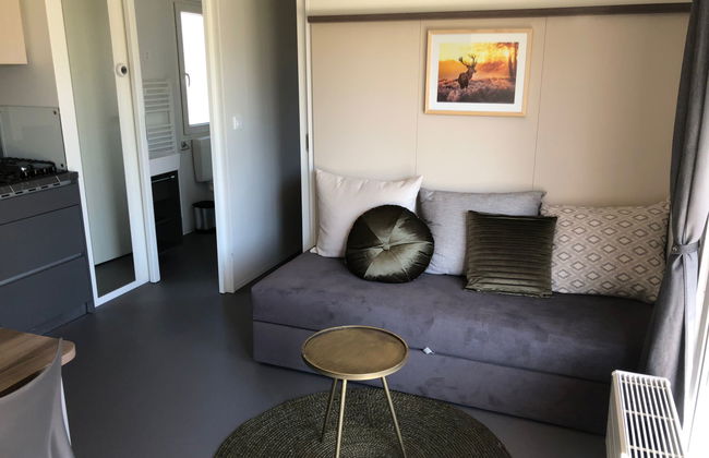 Maison de 3 chambres à Nunspeet avec piscine et terrasse - Photo 5