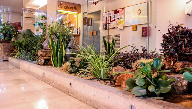 Marbela Apartments & Suites - Foto 2