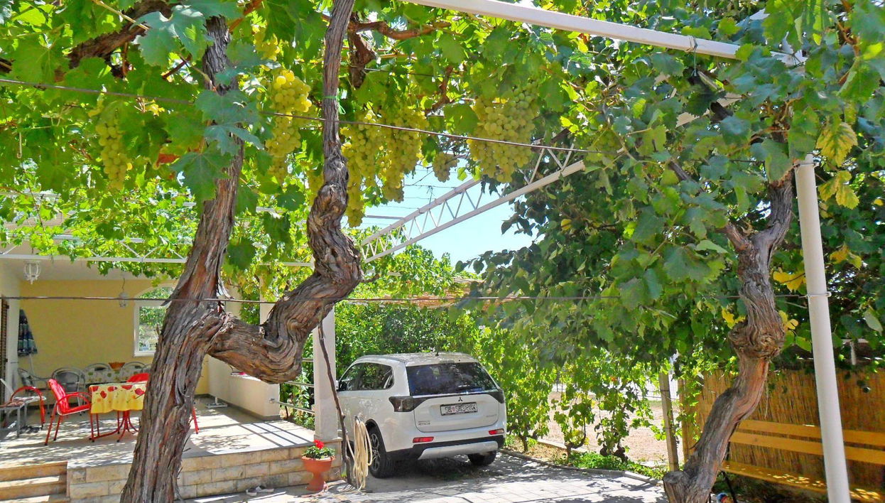 Apartments Dama (ex Danica) - Foto 1