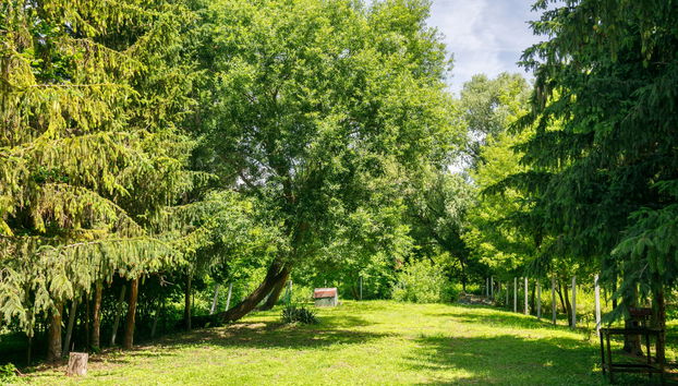 Apartment mit 3 Schlafzimmern in Balatonlelle mit garten und terrasse - Foto 3
