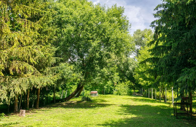 Apartamento de 3 quartos em Balatonlelle com jardim e terraço - Foto 3