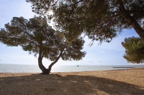 Photo 26 - 3 bedroom House in La Londe-les-Maures with swimming pool and sea view