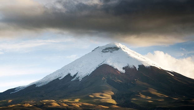 Visitez le parc national de Cotopaxi et Quilotoa - Excursion d'une journée - Photo 3