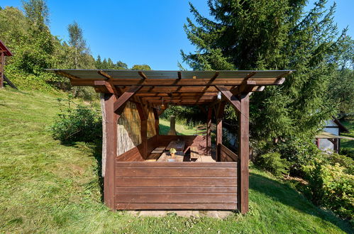 Photo 43 - Appartement en Stárkov avec piscine et jardin