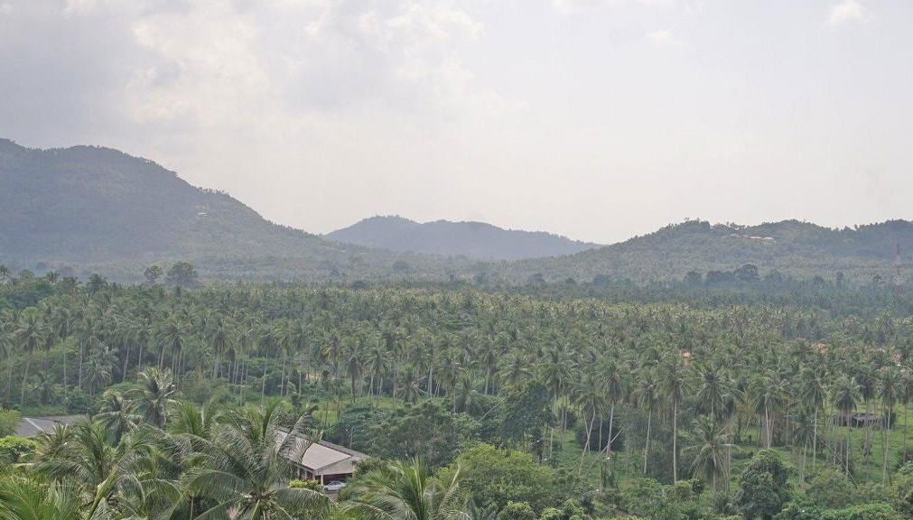 Jeep Jungle Safari - Photo 1