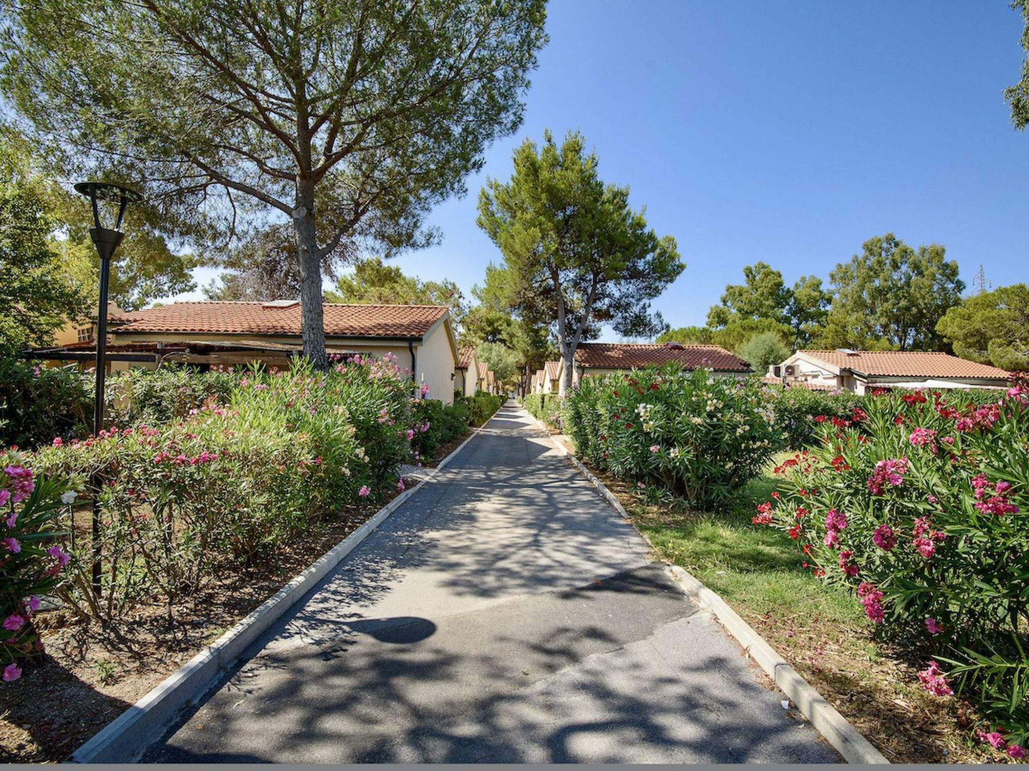 Foto 1 - Casa de 1 quarto em Piombino com piscina e jardim