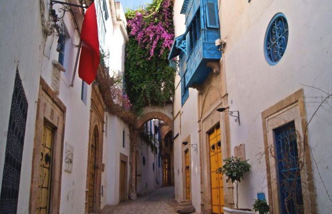 Excursión de día completo a Cartago, Sidi Bou Said y la Medina de Túnez desde Monastir - Skanes - Foto 5