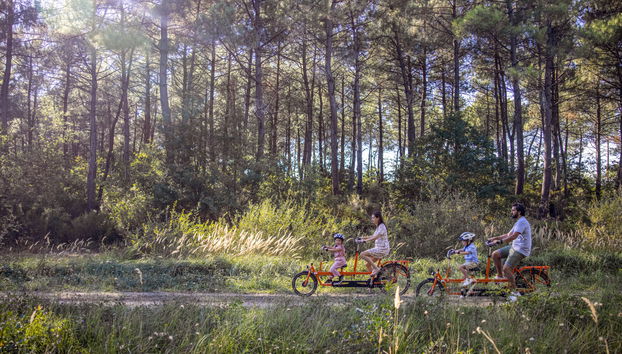 Haus mit 4 Schlafzimmern in Morton mit schwimmbad und terrasse - Foto 3