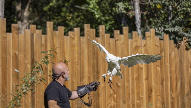 Casa de 2 habitaciones en Les Trois-Moutiers con piscina y terraza - Foto 4