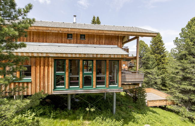 Haus mit 5 Schlafzimmern in Stadl-Predlitz mit garten und terrasse - Foto 1