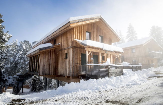 Haus mit 5 Schlafzimmern in Stadl-Predlitz mit garten und terrasse - Foto 6