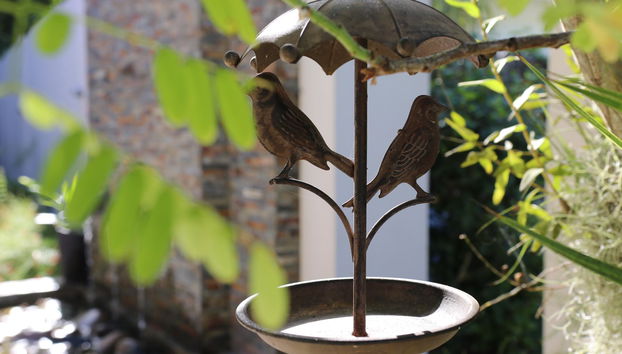 Residence Argine - Photo 5