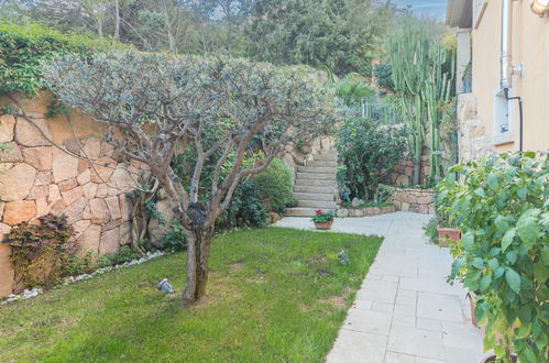 Photo 35 - Maison de 4 chambres à Arzachena avec jardin et terrasse