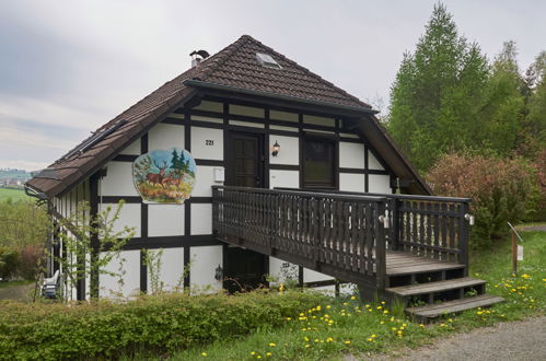 Foto 6 - Apartamento de 2 habitaciones en Frankenau con terraza y vistas a la montaña