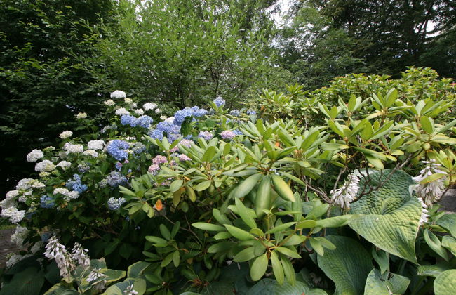 Casa de 4 quartos em Insbruque com jardim e terraço - Foto 13