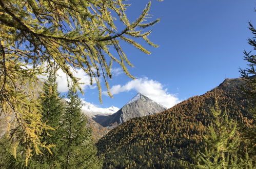 Photo 20 - 1 bedroom Apartment in Saas-Fee