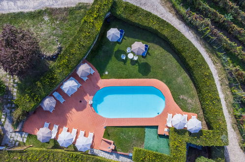 Foto 47 - Appartamento con 3 camere da letto a Greve in Chianti con piscina e giardino