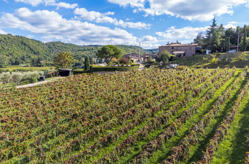 Foto 50 - Appartamento con 2 camere da letto a Greve in Chianti con piscina e giardino