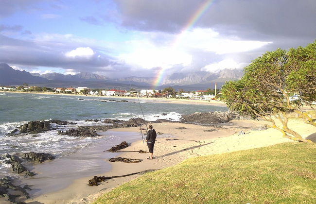 The View - Photo 28
