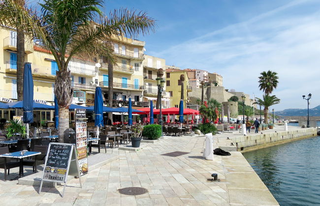 Apartment mit 2 Schlafzimmern in Calvi mit schwimmbad und garten - Foto 17