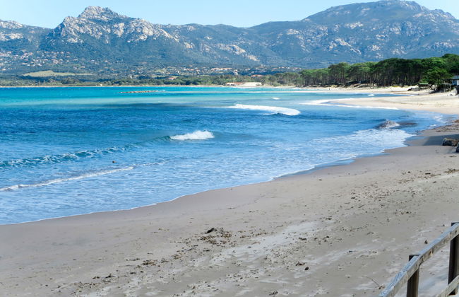 Apartment mit 2 Schlafzimmern in Calvi mit schwimmbad und garten - Foto 15