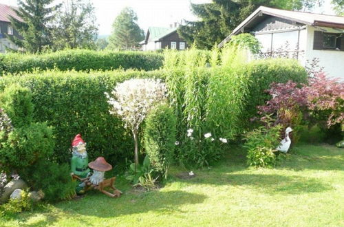 Photo 23 - Appartement de 3 chambres à Harrachov avec jardin