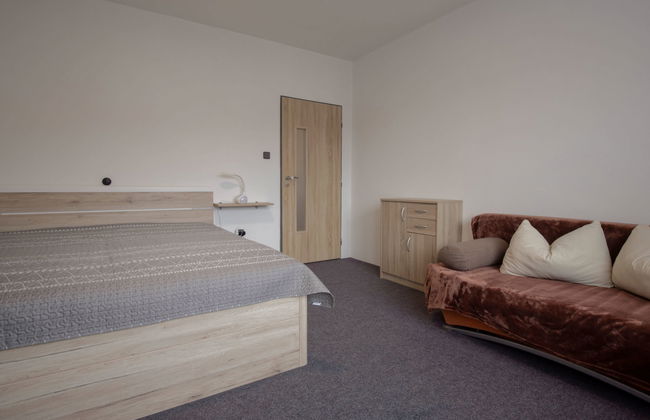 Apartamento de 3 quartos em Harrachov com jardim - Foto 11