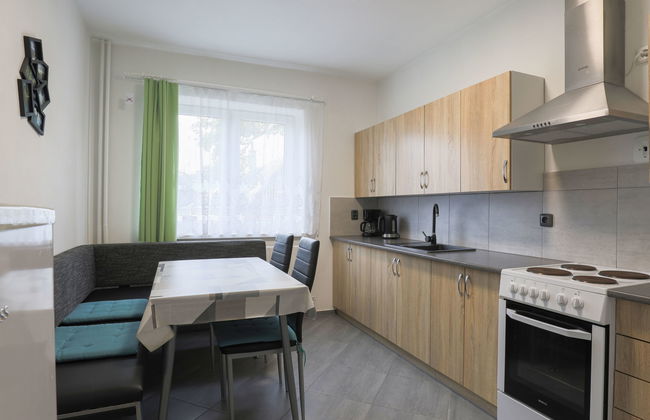 Apartamento de 3 quartos em Harrachov com jardim - Foto 8