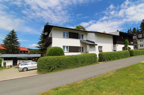 Photo 20 - Apartment in Harrachov with garden