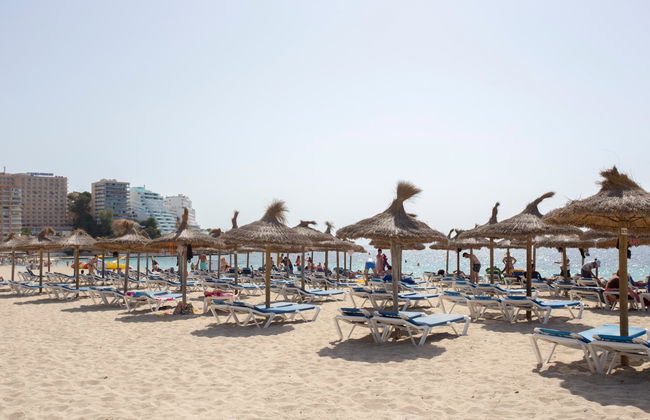 Magalluf Playa - Adults Only - Foto 24