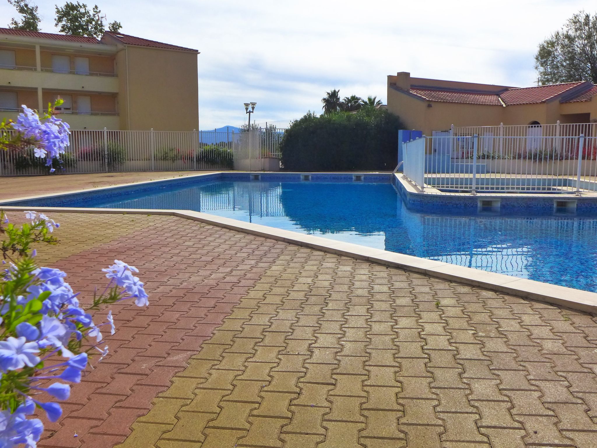Foto 22 - Appartamento con 1 camera da letto a Canet-en-Roussillon con piscina e vista mare