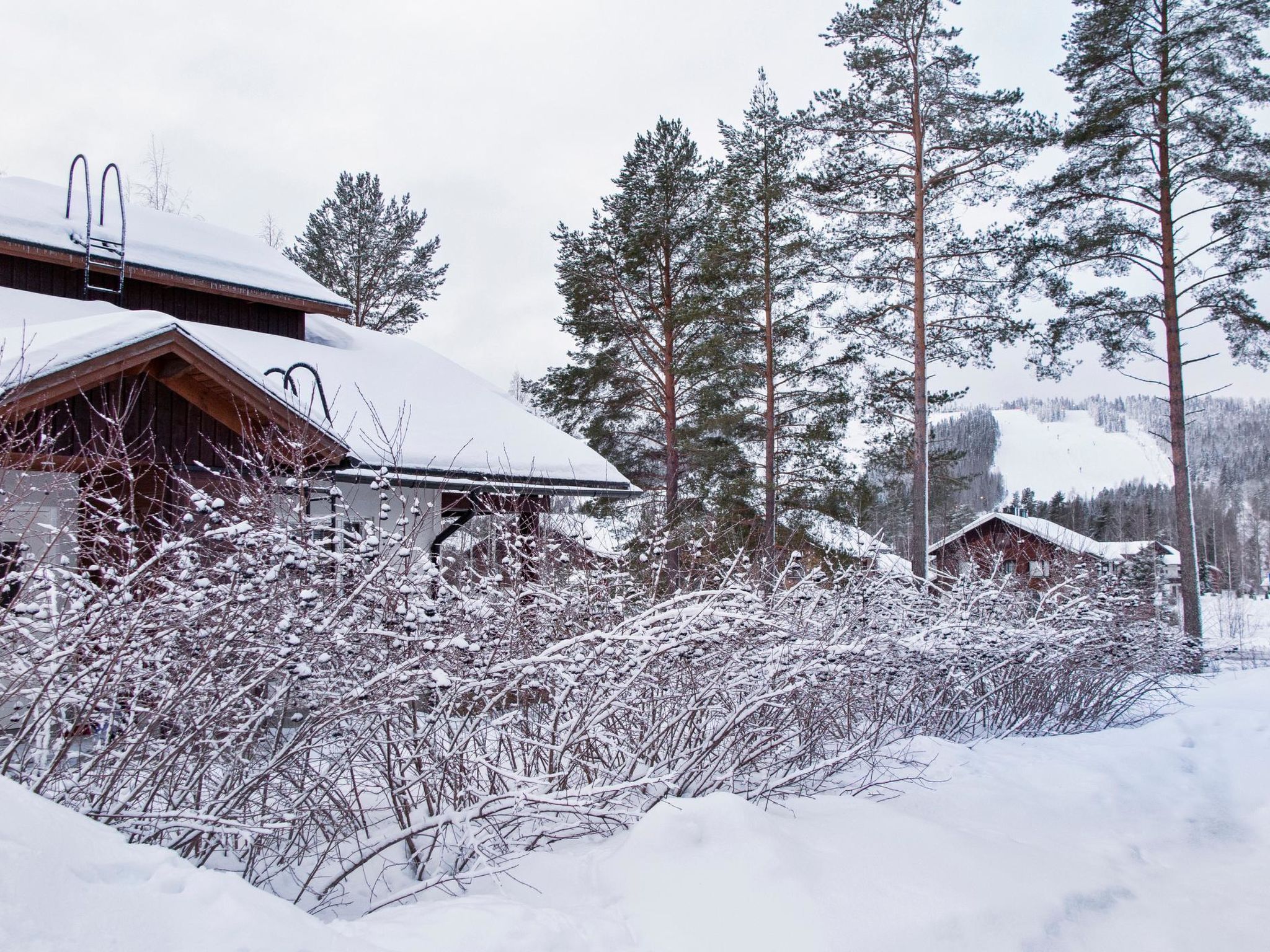 Foto 20 - Casa con 2 camere da letto a Kuopio con sauna