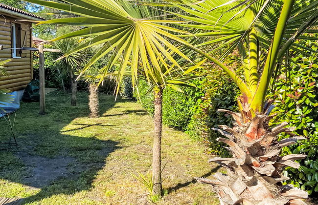 Casa de 4 quartos em Saubion com piscina e terraço - Foto 21