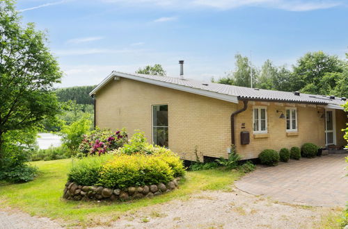 Photo 4 - 2 bedroom House in Silkeborg with terrace