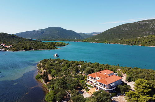 Foto 1 - Appartamento con 2 camere da letto a Ston con terrazza e vista mare