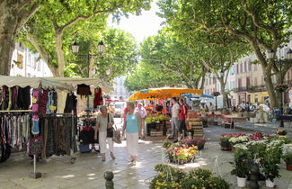 Foto 35 - Casa con 4 camere da letto a Salernes con piscina privata e giardino