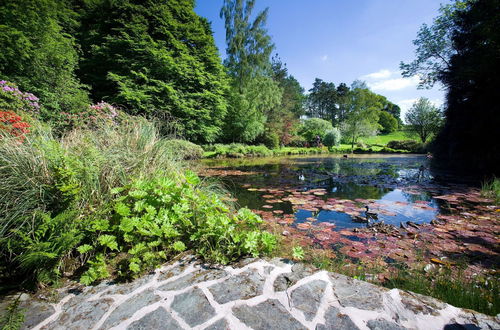 Foto 6 - Lindeth Fell Country House