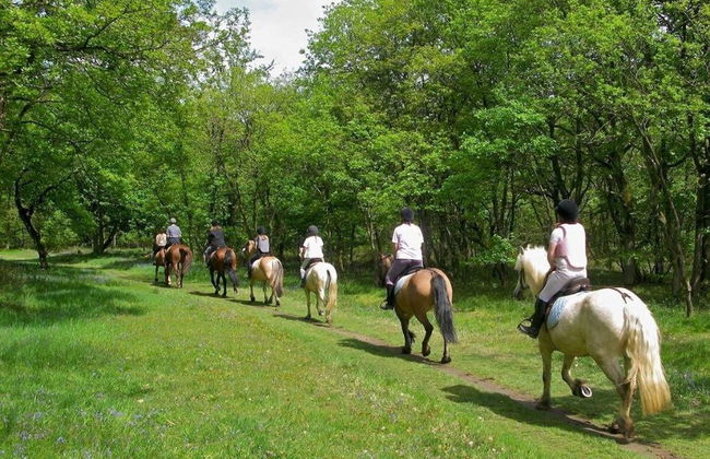 Agriturismo Relais Tenuta Il Cigno - Foto 57