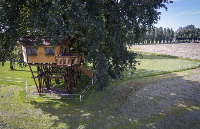 Agriturismo Relais Tenuta Il Cigno - Foto 35