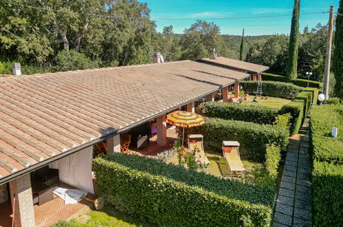 Photo 2 - Maison de 1 chambre à Massa Marittima avec jardin et terrasse