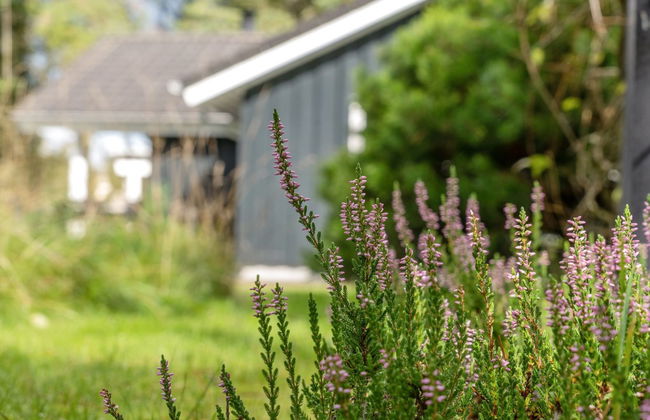 Casa de 3 quartos em Fjerritslev com terraço - Foto 5