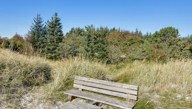 Haus mit 2 Schlafzimmern in Hals mit terrasse - Foto 3