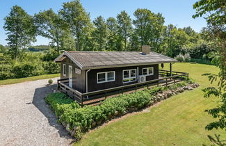 Foto 3 - Casa con 3 camere da letto a Tranekær con terrazza